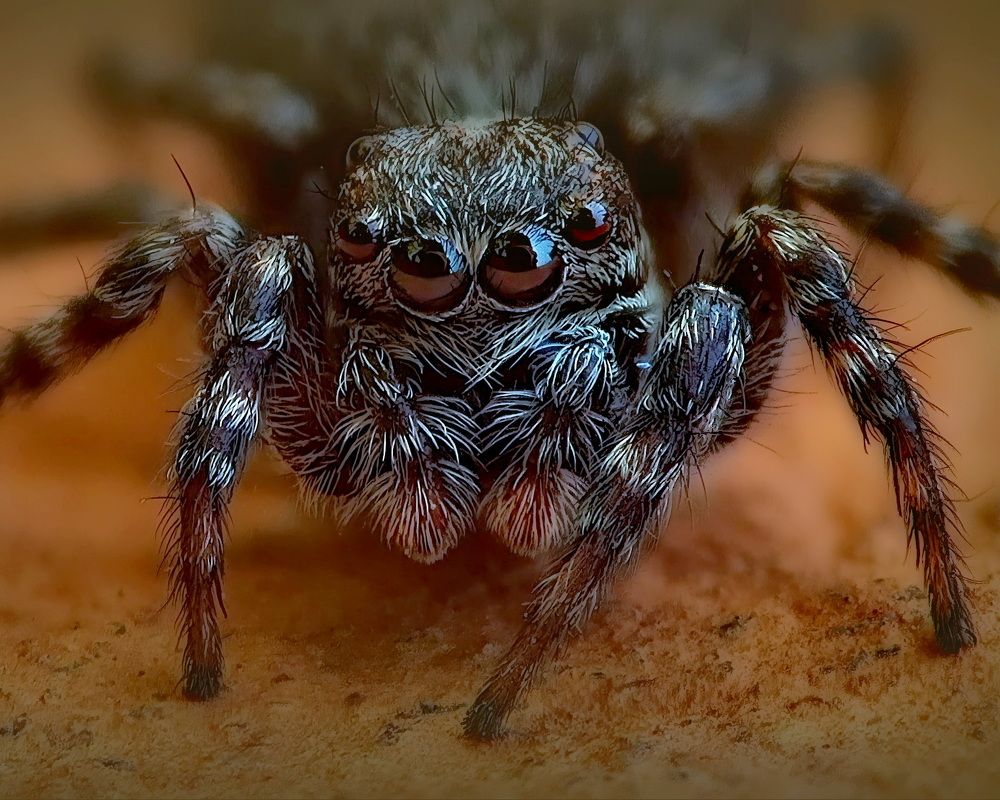 Photograph by Кузнецов Дмитрий