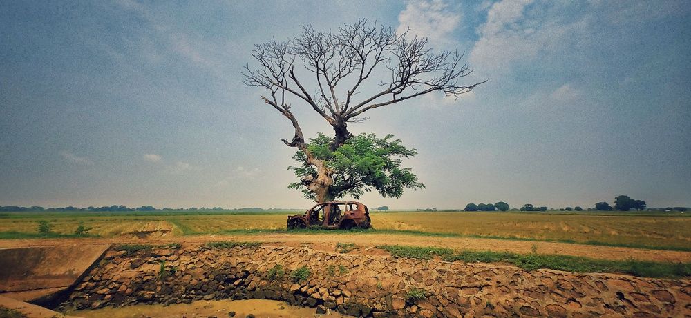 Photograph by Roger Baligod