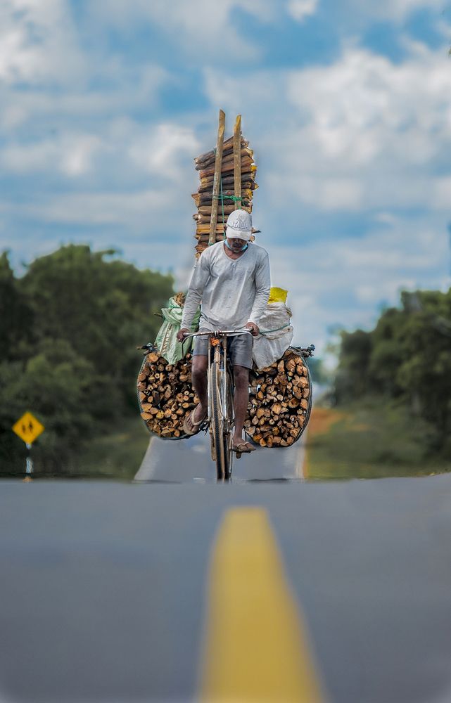 Фотография автора Darshana Isuranga Dasanayake