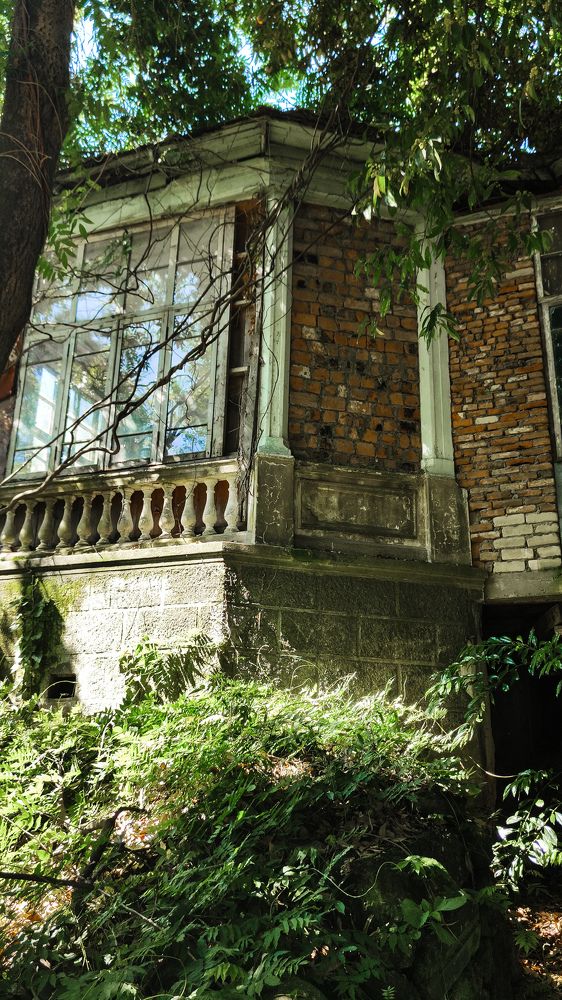 Photograph by Никита Нечаев