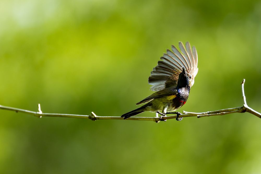 Фотография автора Le Huy Vu