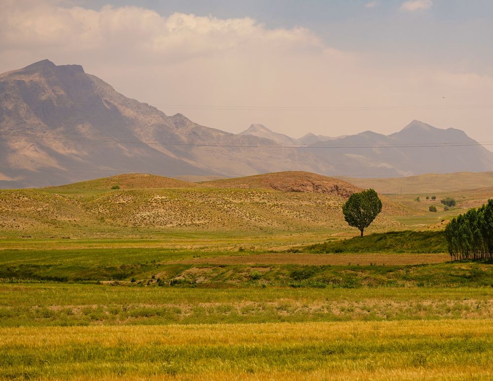 Photograph by kamran shirani