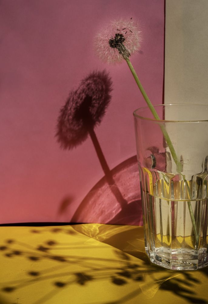 Photograph by Марина Крылова