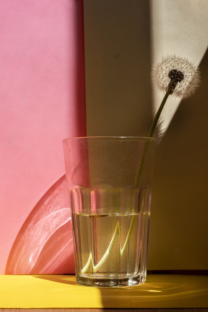 Photograph by Марина Крылова