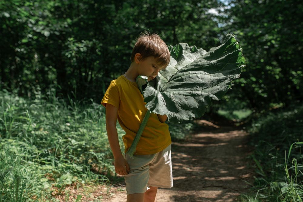 Photograph by Анна Синицина