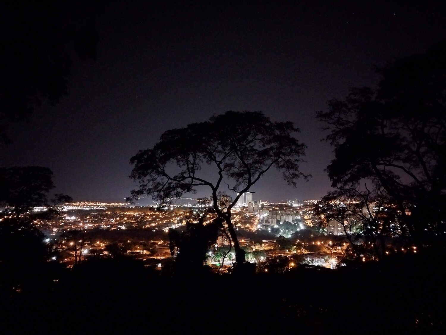 Photo #10734382