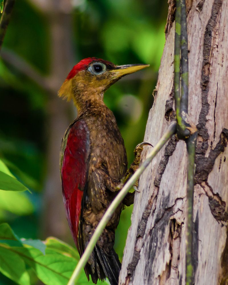 Photograph by Jaztin A/L Philips