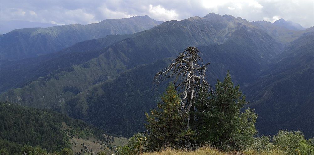 Photograph by Эльвира