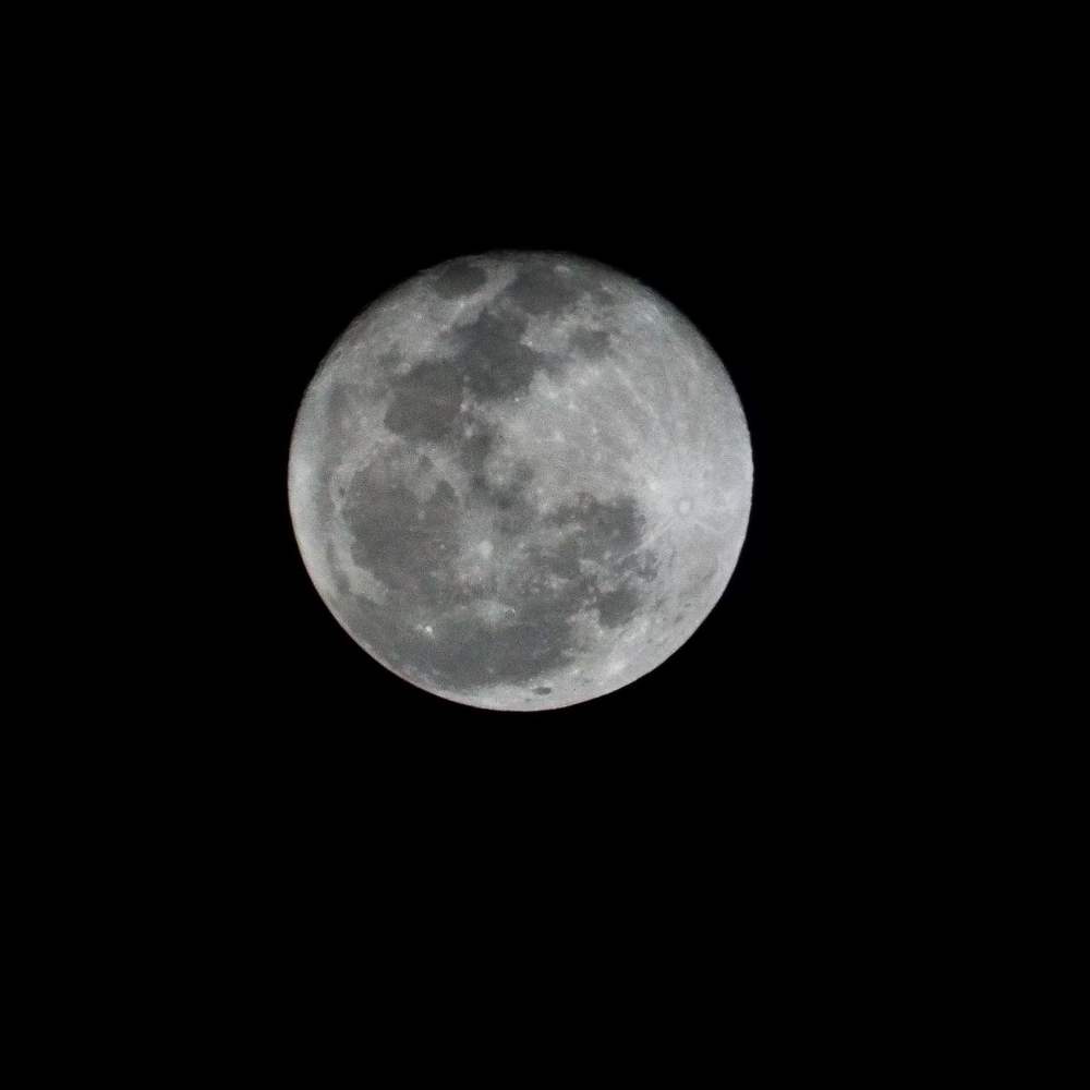Photograph by Isabela Cunha