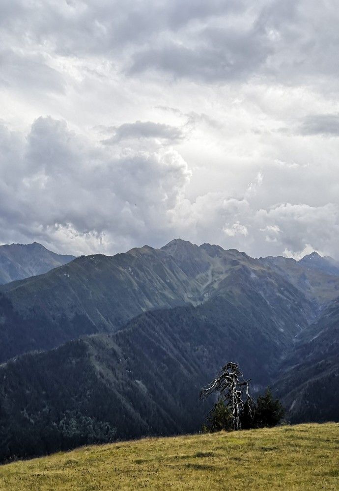 Photograph by Эльвира