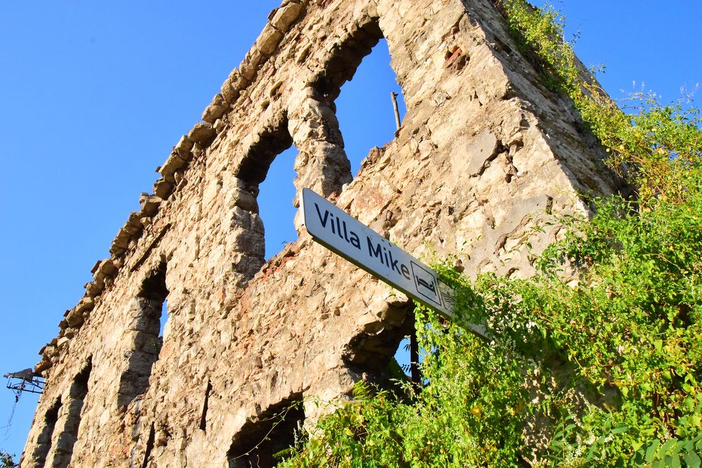 Переживший войну