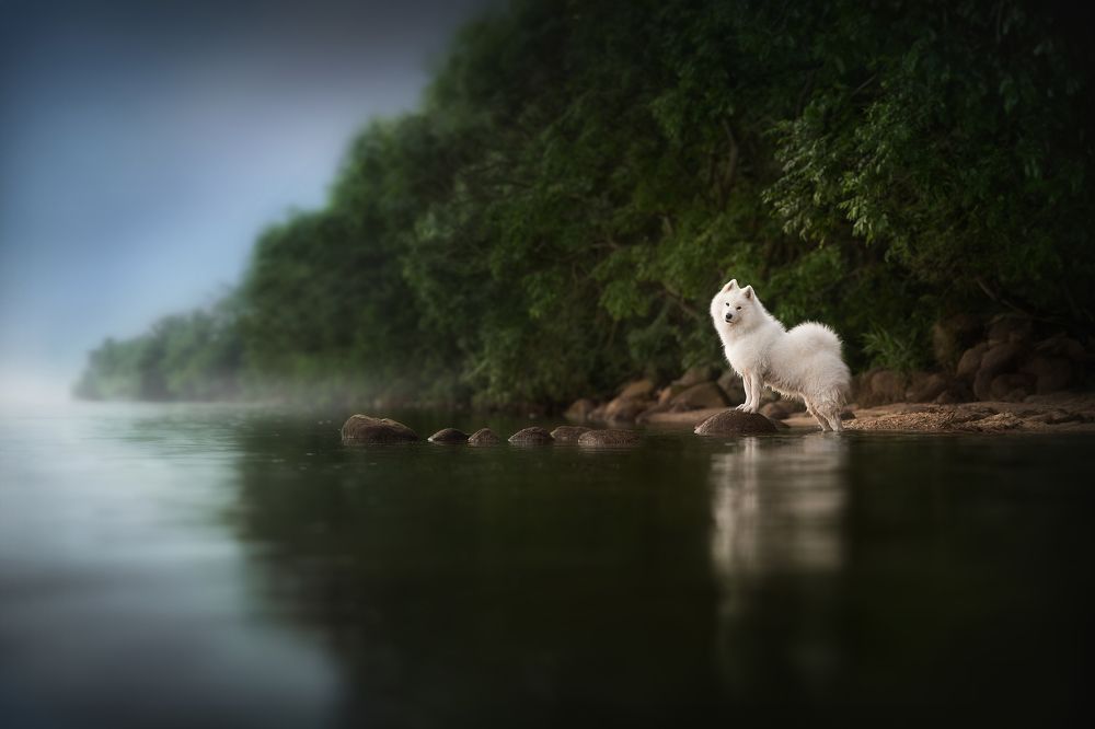 Photograph by Fleur Scholte