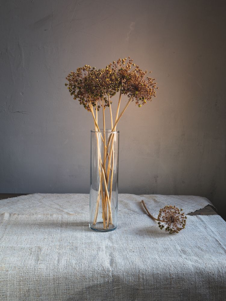 Photograph by Татьяна Кучерова