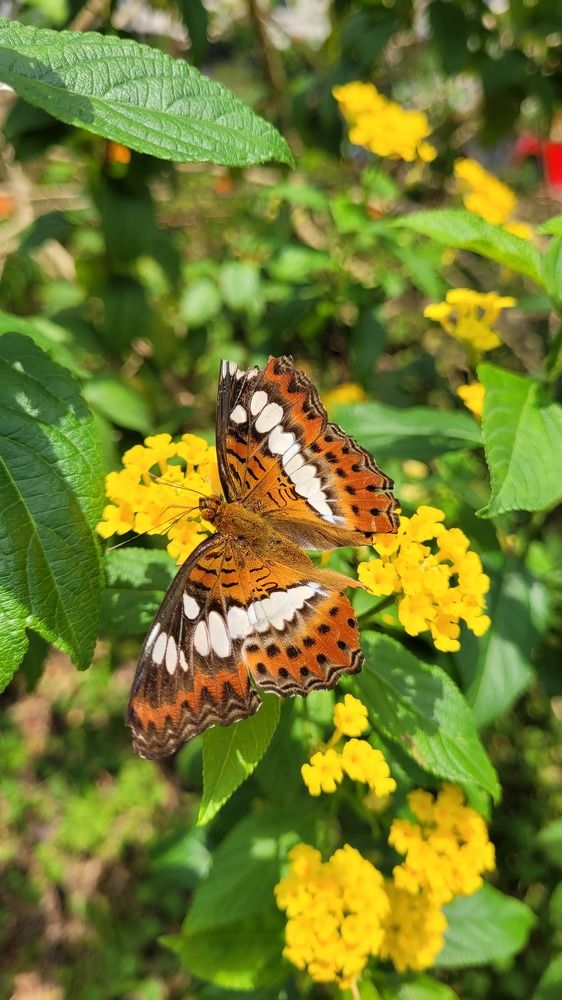 Photograph by Amal Madhu