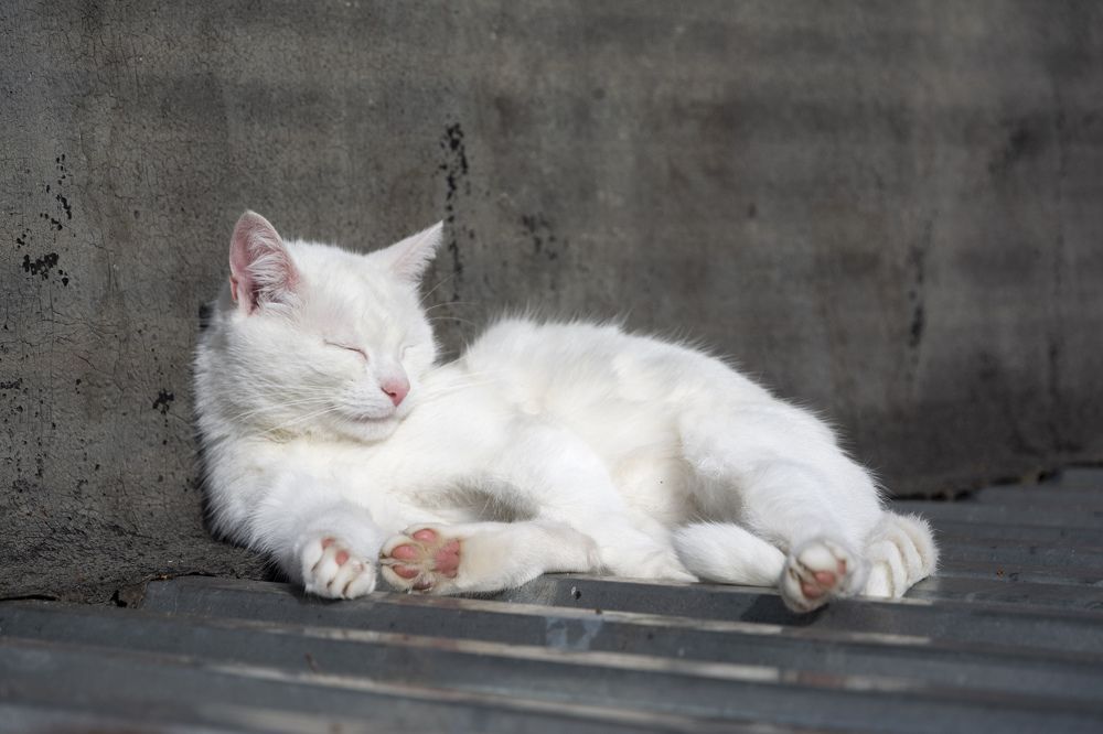 Photograph by Олег Малетин