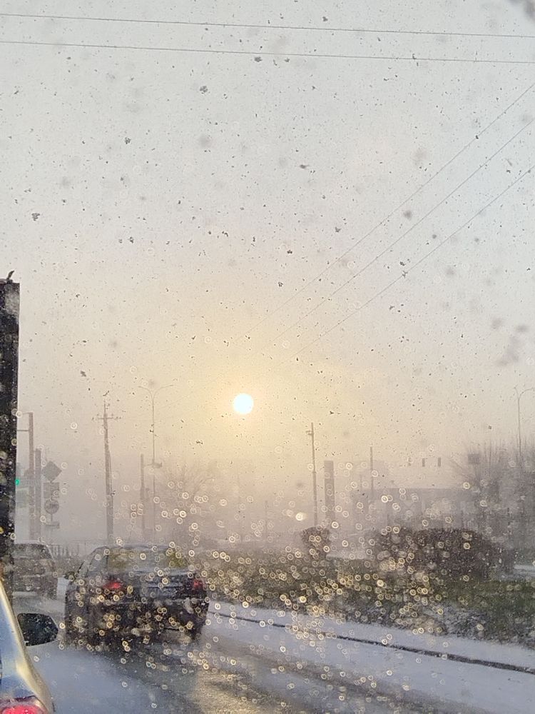 Фотография автора Екатерина Полякова