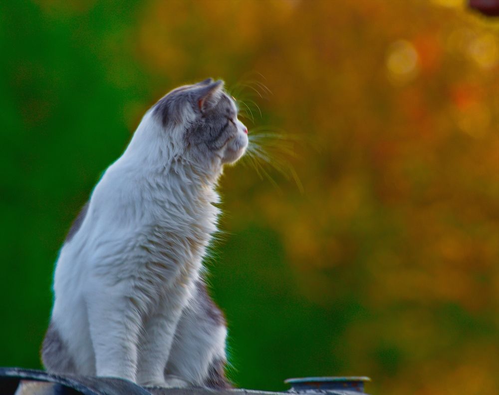 Photograph by Сергей Булат