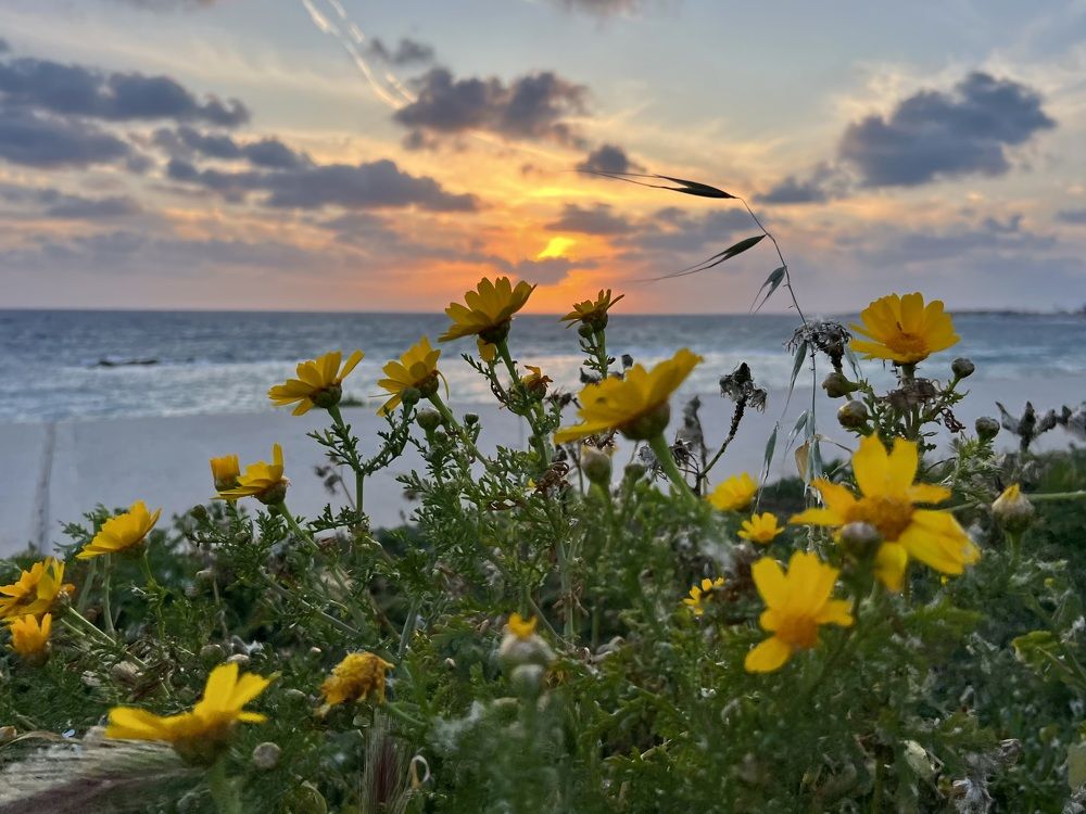 Photograph by Шестакова Наталья