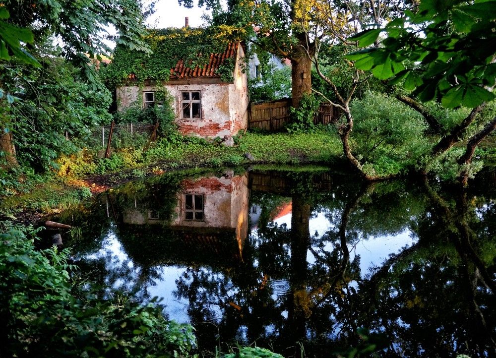 Photograph by Михаил Янкин