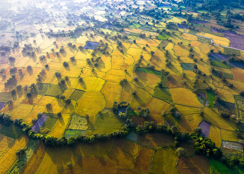 Photograph by Tuan leanh