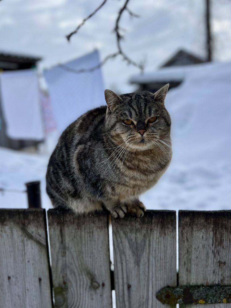 Photograph by Шестакова Наталья