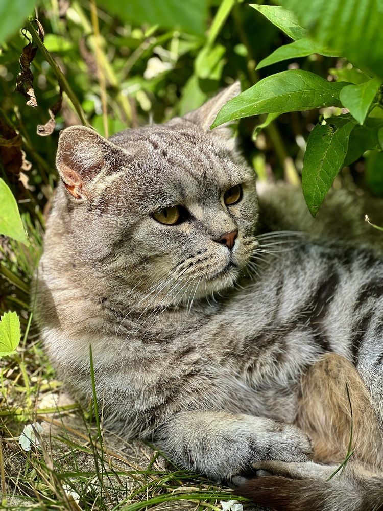 Photograph by Шестакова Наталья