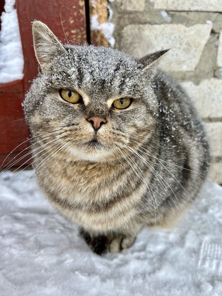 Photograph by Шестакова Наталья