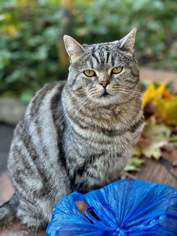 Photograph by Шестакова Наталья