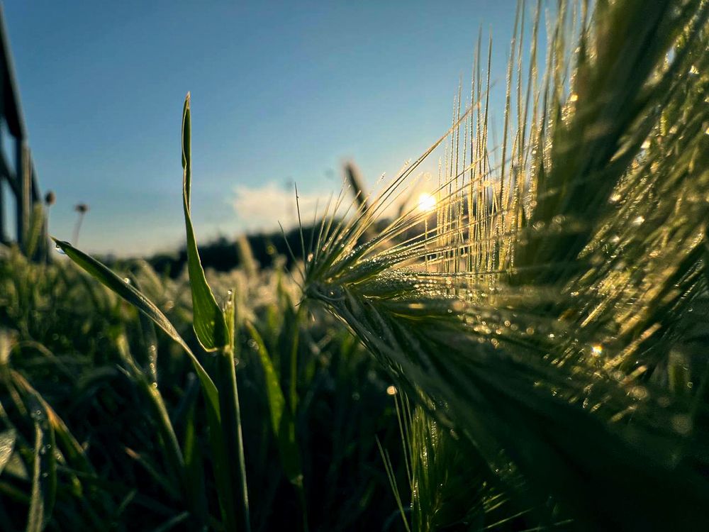 Photograph by Константин Тимонин