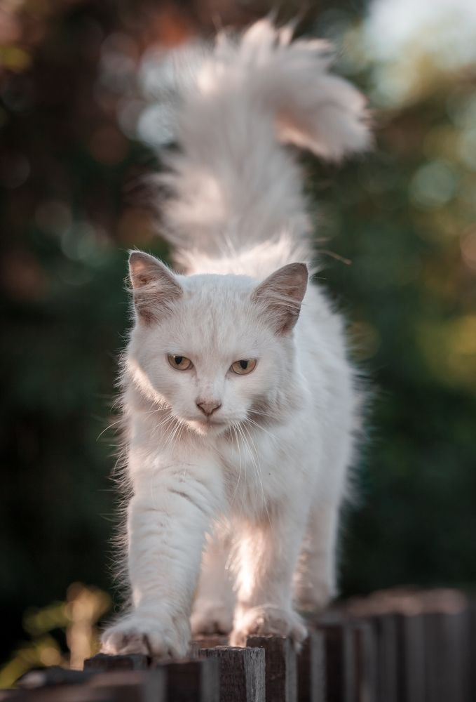 Фотография автора 