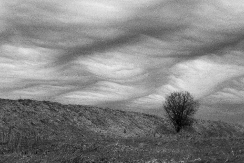 Фотография автора Иван Домарацкий