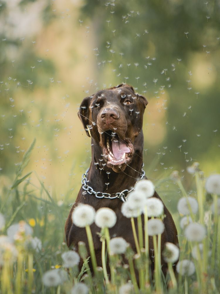 Photograph by Мария Клещенко