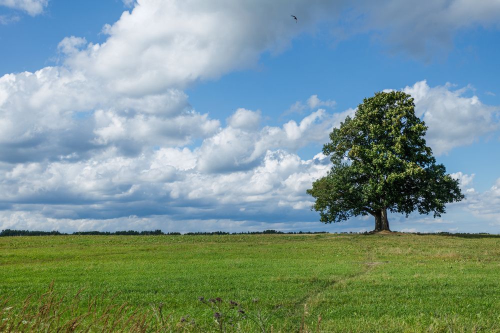 Photograph by Aleksei Kazakov