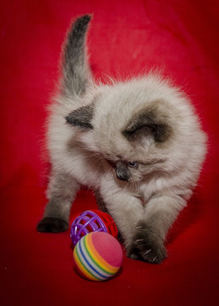 Photograph by Татьяна Титова