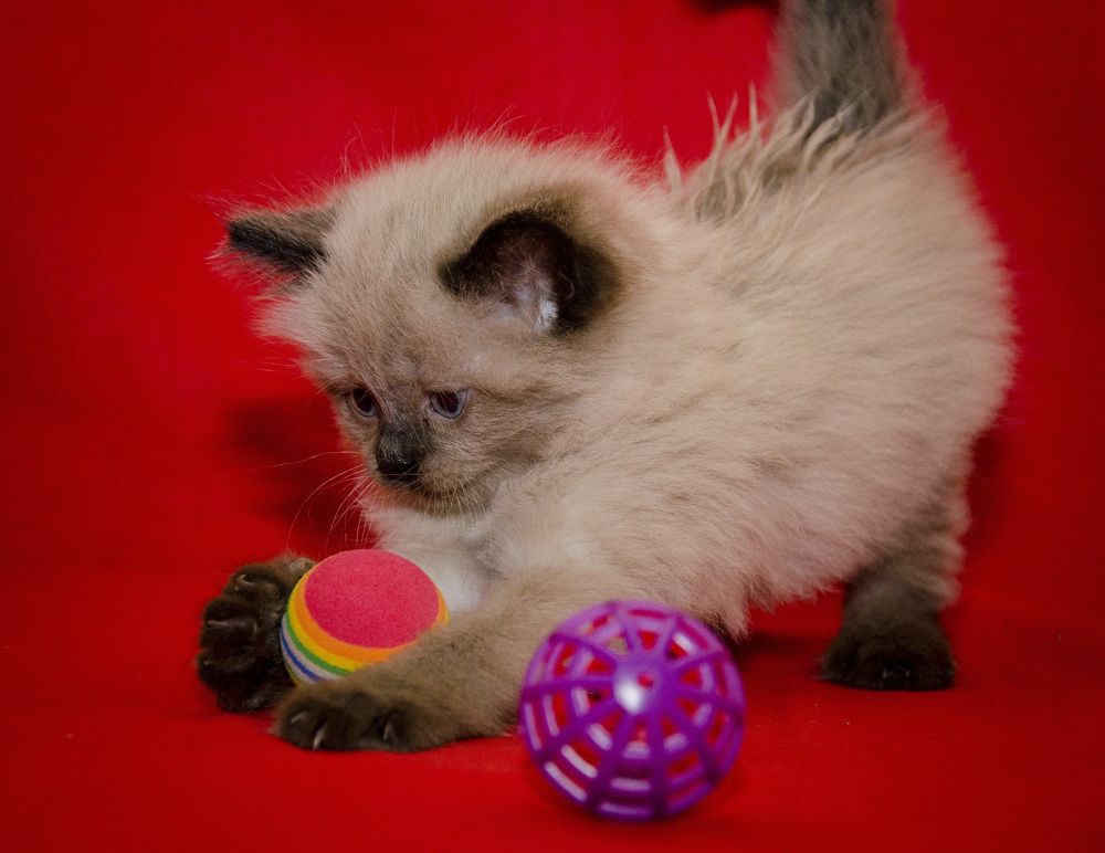 Photograph by Татьяна Титова