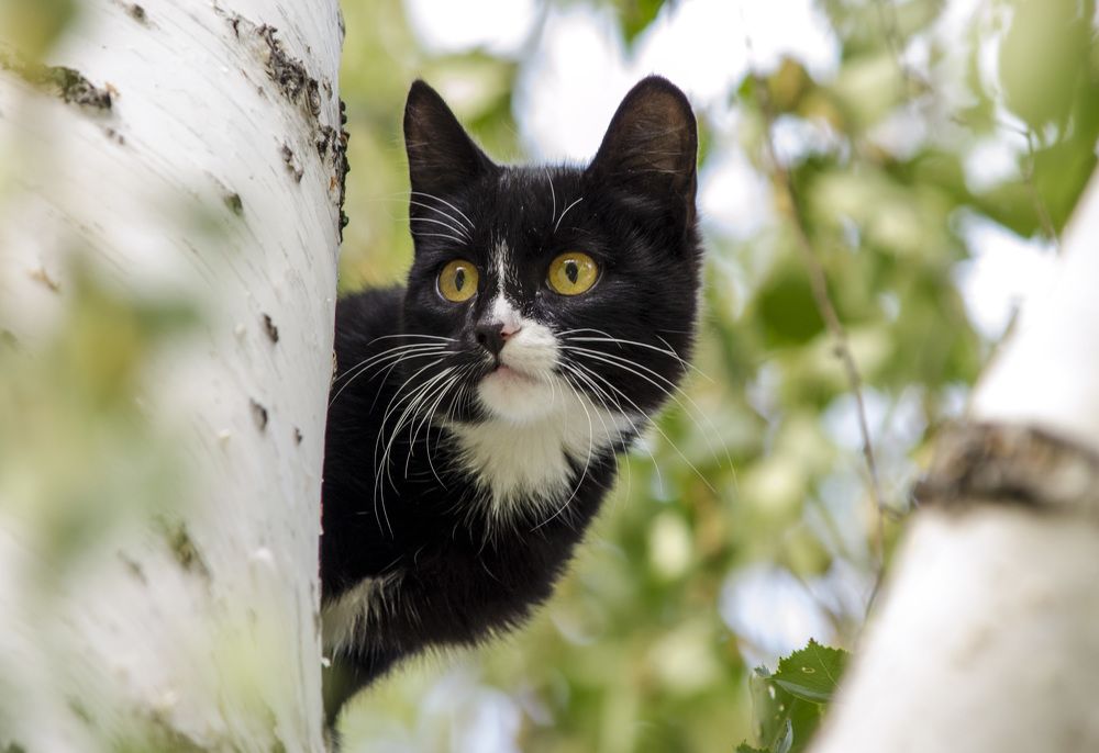 Photograph by Татьяна Титова