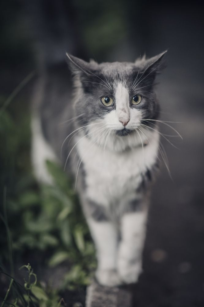 Photograph by Ольга Хентова