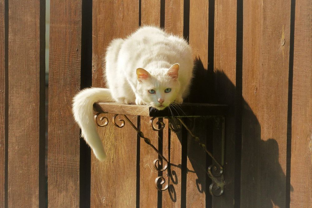 Photograph by Валерия Яскович