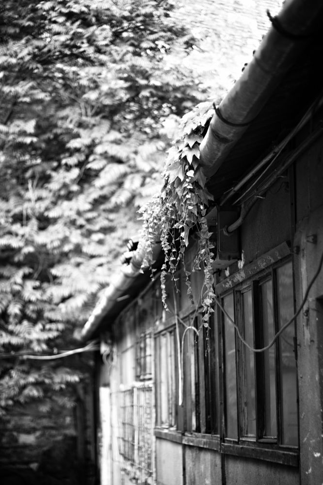 Photograph by Eperjessy Adrian