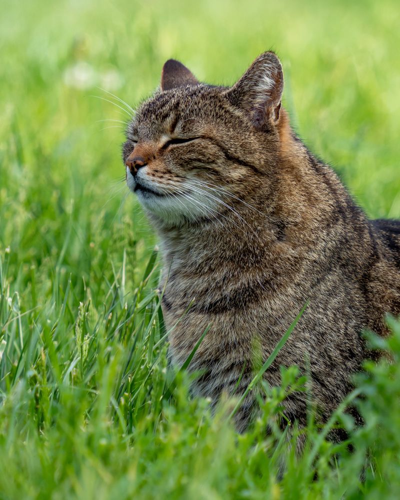 Photograph by Anton Leonchikov