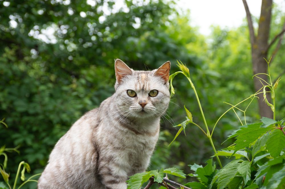 Photograph by Рыков Сергей