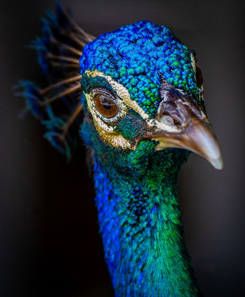 Photograph by Ethan Williams