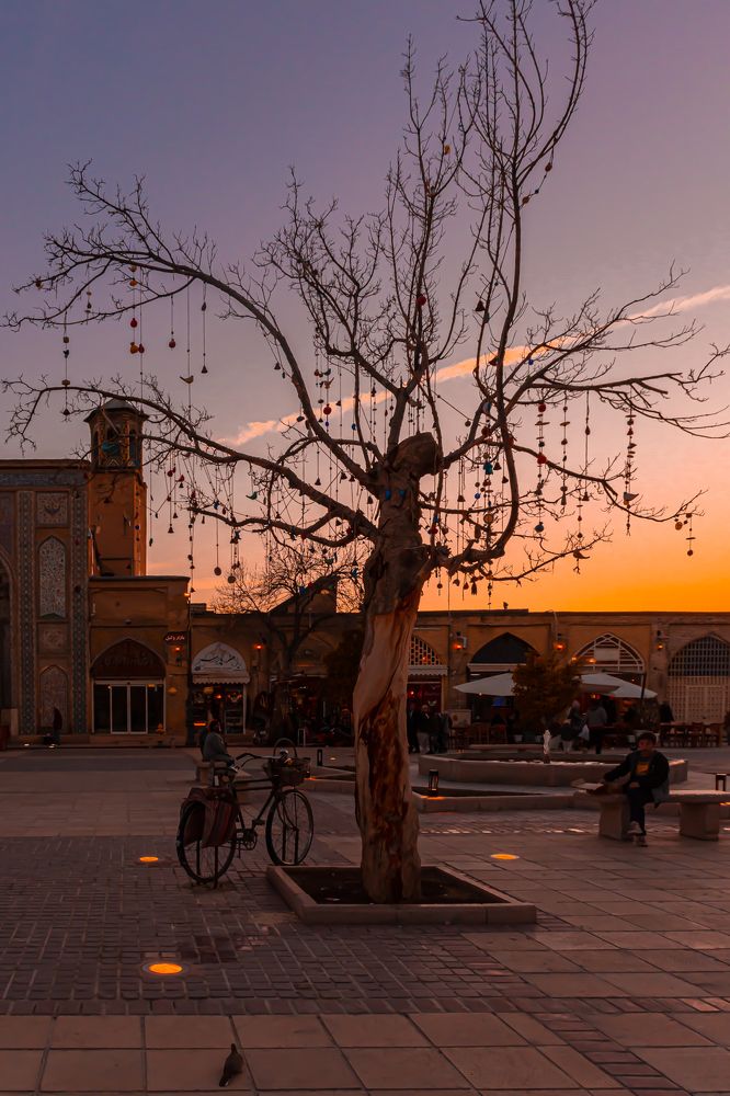 Photograph by Maryam Talepoor