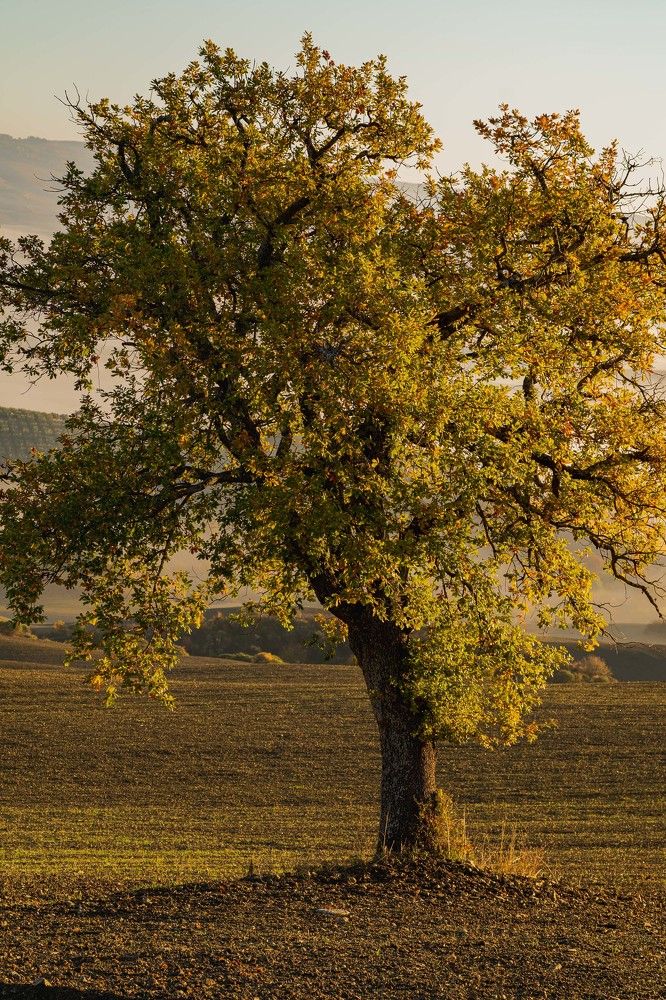 Фотография автора Нина Кулишова