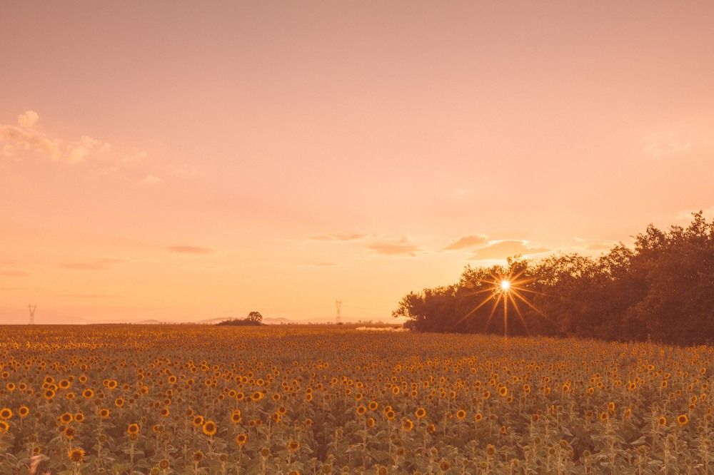 Photograph by Трайко Байко