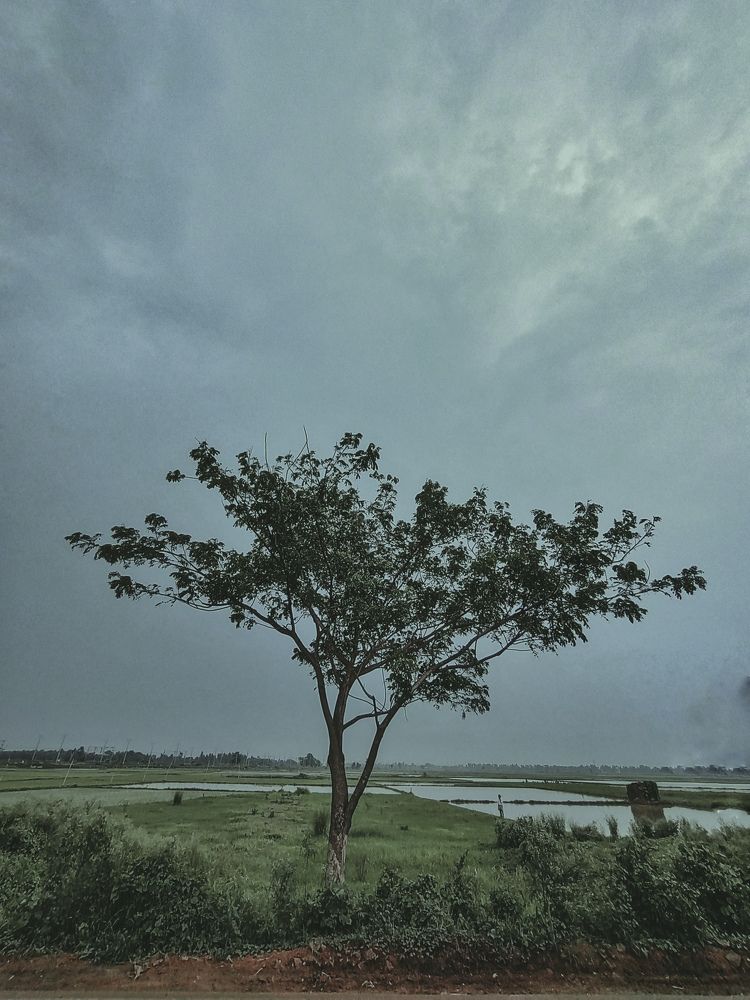 Photograph by Kaustav Ghosh