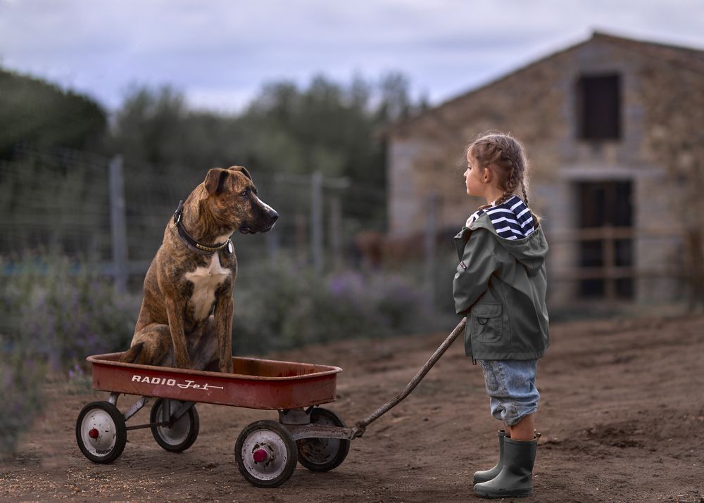 Фотография автора ANA MARIA BRAÑAS