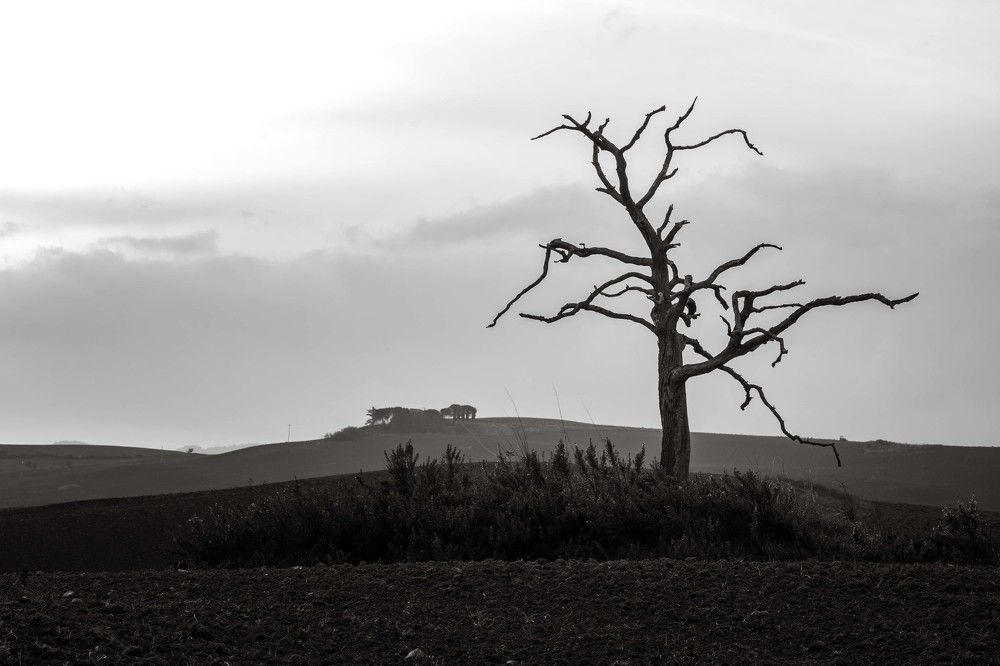 Фотография автора Нина Кулишова