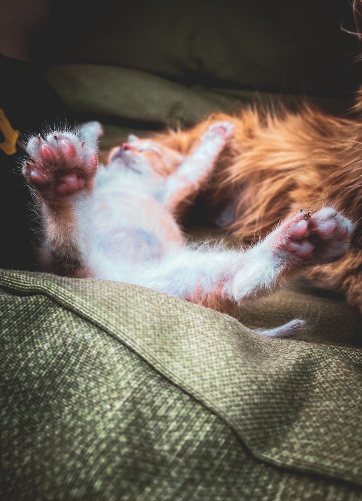 Photograph by Руслана Ковалевская