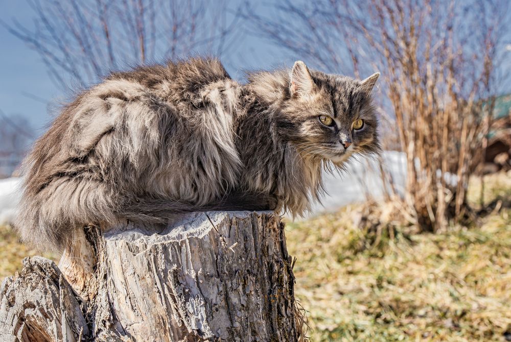 Photograph by Елена Павлова